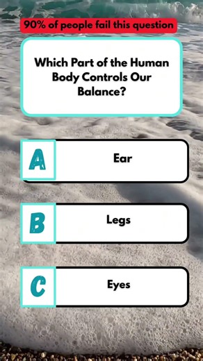Which Part of the Human Body Controls Our Balance? #quiz #saturdayquiz #grandquiz #quizup