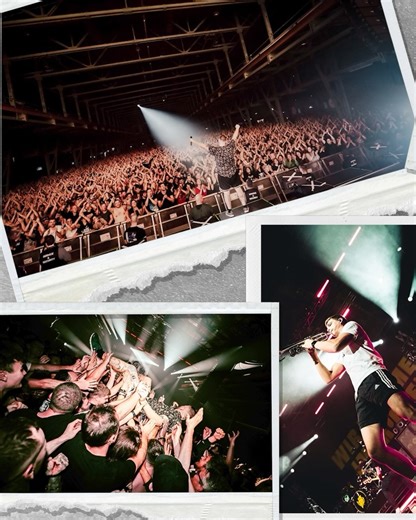 Feine Sahne Fischfilet on Reels