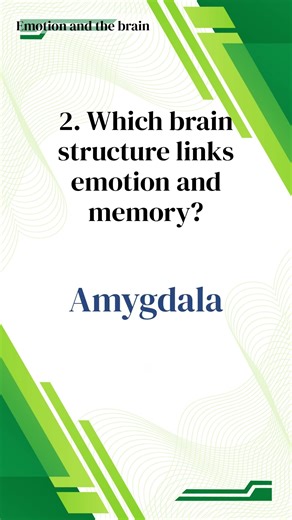 A Science Playground for Your Brain - 1-Minute Science Quiz (83)