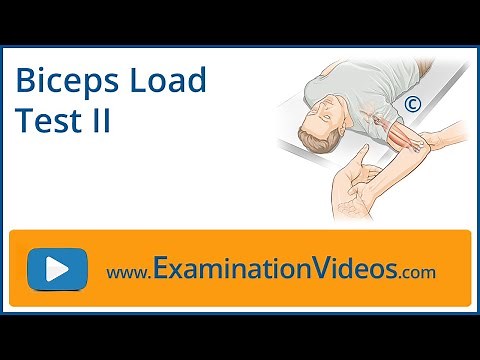 Biceps Load Test II