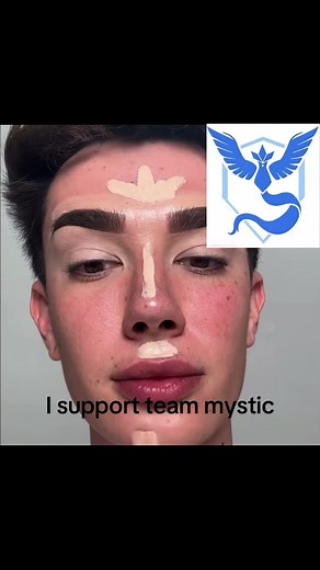 instinc is js the best argue with a wall #pokemongo #famous #mystic #instinct #valor