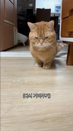 삐돌이 덕배를 유혹하는 방법!