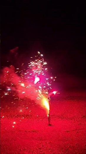 KILLER BEE fountain from phantom fireworks #shorts #fireworks #pyro