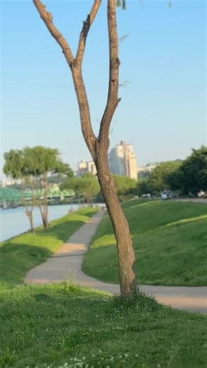 The Han River You can see people just spending time by the river, some enjoying picnics with their families. The whole place is so calm and peaceful.