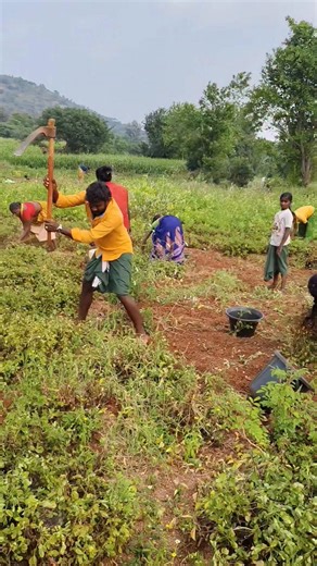 Chinnapoovan Chinnapoovan ChinnaPoovan | ரொம்ப கஸ்டமானா வேலை 😔😔😔😔 #விவசாயிகள்_தினம் #vedioviral #உழவர் #automaticwaterlevelcontroller #byebye2025 | Instagram