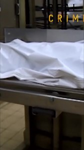 Three murders in one night, opposite ends of the city, each victim with a fractured skull from a single shot. Forensics confirm: one gun, one killer. Who and why? The city holds its breath. #TrueCrime #MurderMystery #Forensics #Investigation #Unsolved | Real Crime