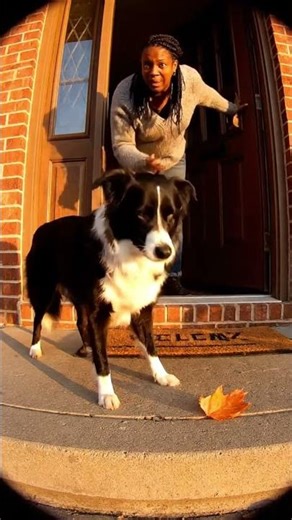 The Leaf Is Not Complying The Leaf Will Comply #shorts