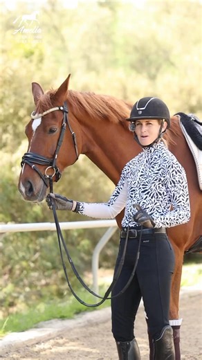 🐴 We talk so much about saddle fit—but what about your bridle?⚡️ When your bridle is pressing on your horse’s ears, tightening across the browband, or pushing on their TMJ, it’s likely causing discomfort you don’t even realize. 😟 🦄 If you want to learn how to make sure your bridle is fitting correctly, check out my latest video on my YouTube Channel where I give six tips to help you make sure your bridle fits. 🗣️ Comment “bridle” below, and I will send you the link to watch the video! 🙋‍♀️ 