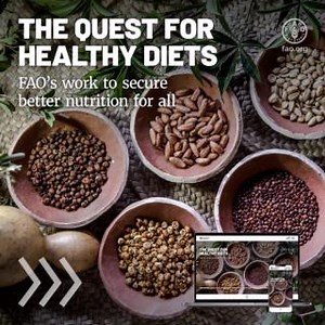 Access to #HealthyDiets is a challenge for many with 3 billion people unable to afford nutritious food. FAO explores solutions to transform agrifood systems, promoting diverse, culturally rooted diets that are affordable & sustainable worldwide. 👉 https://bit.ly/40B66wL #WorldHealthDay | Food and Agriculture Organization of the United Nations (FAO)