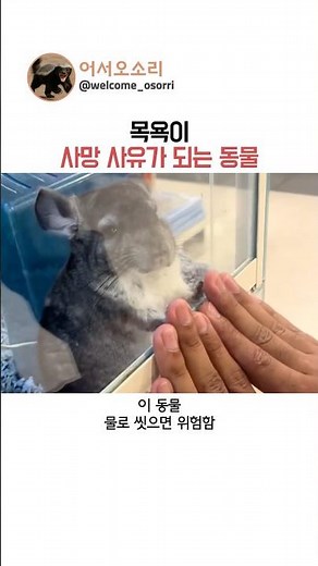 목욕이 사망 사유가 되는 동물
