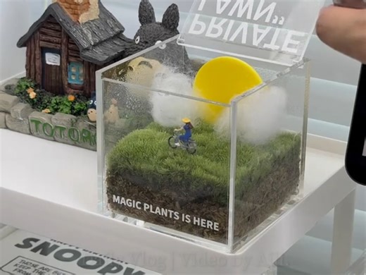 高颜值有品味小众礼物合集，需要送礼的可以闭眼入