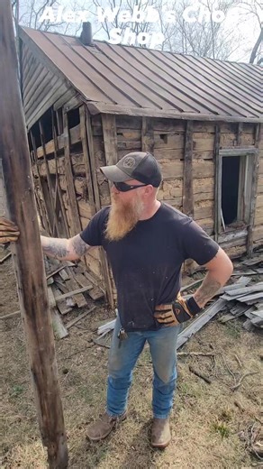 14K views · 1.1K reactions | Wormy chestnut siding around the whole cabin... You don't find that everyday! We got all the siding off, windows, and doors out.... not too bad for 1 day and 2 people with crowbars. This is going to be a great restoration #alexwebbschop #fypシ゚ #woodworking #antiques #history #reel #restoration #barnwood #husbandandwifeteam #cabin #reelsviralfb | Alex Webb’s CHOP SHOP | Facebook