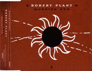 Robert Plant - Morning Dew