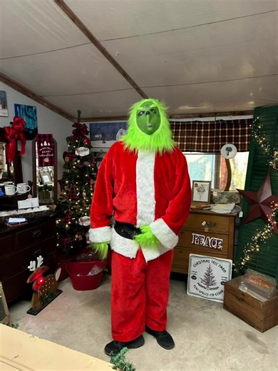 Grinch shenanigans at The Rustic Coop country store and flower 🌹 farm located at 31366 Scala Ln Laurel, De #christmas #grinch #fun #holidays