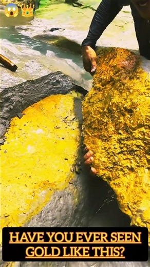 “Deep Jungle Gold Hunt | Uncovering Nature’s Secrets”---⭐ Jungle-Themed .