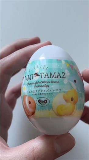 Squishy 🤪 surprise from I-Bloom Tokyo
