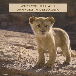 Simba in person 🦁 Pumba on calls 🐗 #Disney #DisneyIndia #LionKing #Simba | Walt Disney Studios