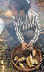 Roasting Pine Nuts with Shell Fully Protein 😁 #pinenuts #food | Crispy Food Station