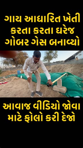 RAMESH VIMAL PILUDA  on Instagram: "#organicfarming #orgenickheti #naturalfarming #desikheti #farmerlife"