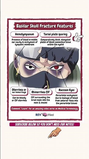 Basilar Skull Fracture (High Yield Review)