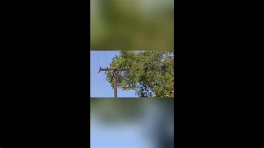 The upcoming week may bring the most extreme weather of the year