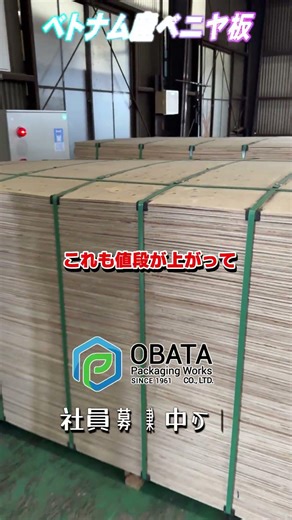 Vietnamese plywood