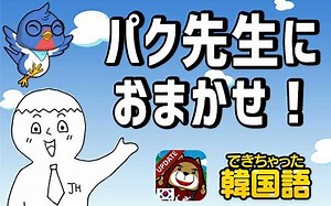 イムニダ(ニダ体), イエヨ(ヘヨ体)の敬語のレベルの違いと使い分けを例文で説明