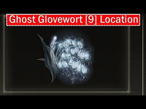 Elden Ring Ghost Glovewort 9 Location