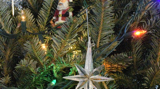 How Burlington County residents can recycle holiday trees, get mulch