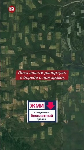 Google Maps Shock: Satellite Reveals Alarming Scale of Deforestation in Siberia! The Taiga Is Dis...