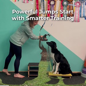 4.5K views · 181 reactions | Agility enthusiasts! 珞 It’s time your...