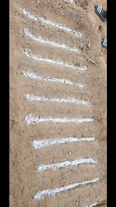 It's Onion Farming Season!!!!! When transplanting your onion seedlings, it's essential to follow these critical agronomic practices: Fertilizer Application: 1. Apply Compound C (Ordinary) or High C: In terms of ordinary C - Apply 800 - 1000 kgs/ha. 2. Apply Sulphate of Potash (SOP): Apply 350 - 450 kgs/ha. 3. Apply Calcium Sulphate (Gypsum): 400 - 450kgs/ha. NB: Please note that these are general fertilizer recommendations. It's crucial to conduct soil analysis to receive specialized fertilizer 