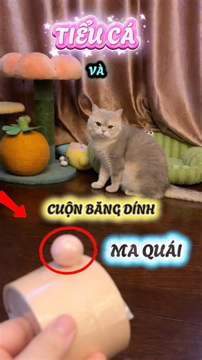 Tiểu Cá và cuộn băng dính ma quái bí ẩn #viral #viralvideos #viralshort #viralreels