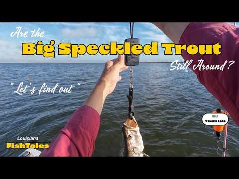 Are the Big Speckled Trout Still Around? "Let's find out"