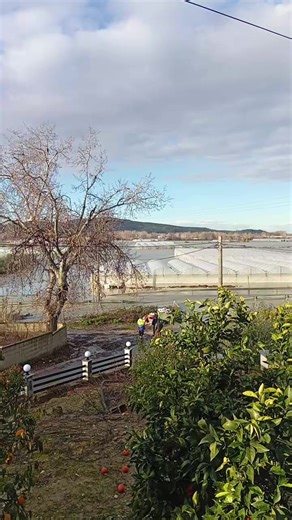 Ernis Marra (@ernis.marra8)’s videos with original sound - murataj 20