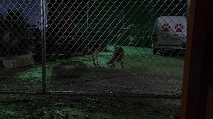 Marley & Me: The Puppy Years (2011) Welcome to the movies and television