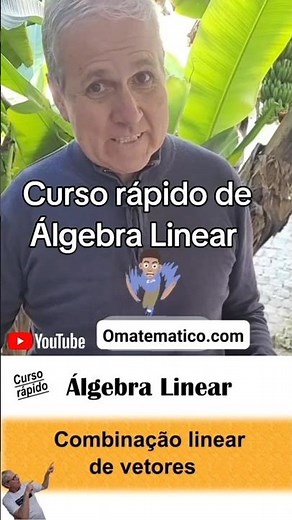 Linear Combination in Algebra