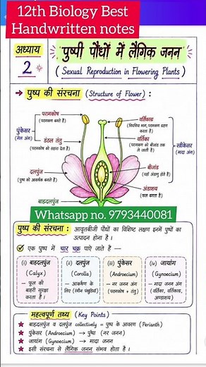 ऐसे Notes से 95% आए 😱 Class 12 Biology Handwritten Notes