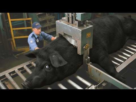 Incredible Black Pigs Mix Processing Factory | How Tons of Sausages are Made (Full Process)