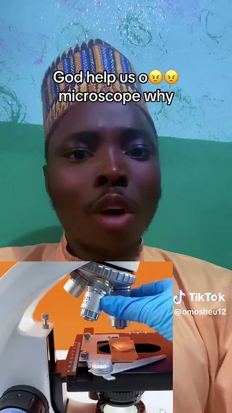 Microscope Adventures: Fun Food Experiments