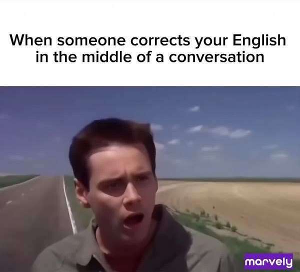 Pardon Me, Mr. Perfect: A Humorous Take on Perfection