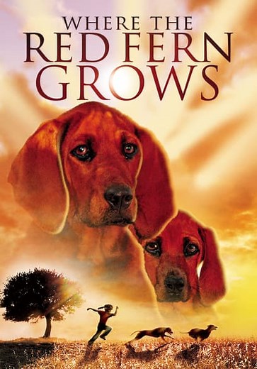 Where the Red Fern Grows (Pt. 1) (1974)