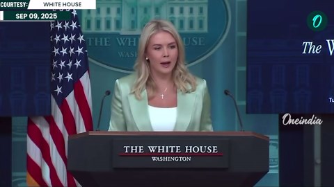 Leavitt Says Trump Did Not Write Letter To Epstein | Demands Handwriting Review Of ‘Pubes’ Signature