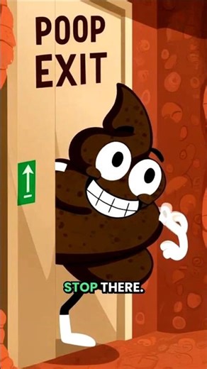 DAILY FUN FACTS: When a Fart Becomes Diarrhea 😳💨 (Doctor Explains#facts