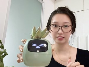 不止是花盆！IYV能看天气、记时间，还能当电子相框