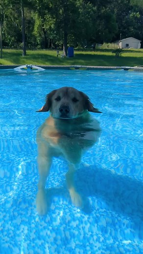 Kimberly Clark (@kimberlyclark78)’s videos with original sound - Kimberly Clark