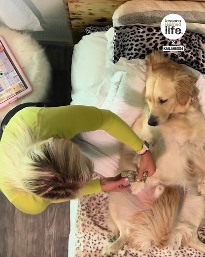 88K views · 590 reactions | Practicing nursing school skills on my dog | Lessons Learned In Life | Facebook