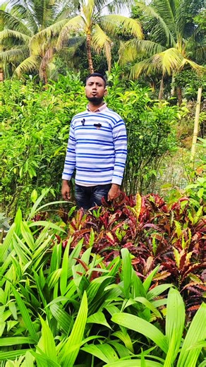 একই মায়ের গর্ভে জন্ম নিয়েছে দুটি প্রাণ brooklyn beckham brighton vs bournemouth the rip valentino chagos islands seven dials champions league davos northern lights spain train crash norway wartime property seizures knight of the seven kingdoms australian open 2026 scabies uk amazon warehouse disease outbreak new driveway rule change ben cohen senegal vs morocco rylan clark bull shark 25th amendment jannik sinner amazon fire tv blaster black oscar bobb perth scorchers vs sydney sixers david mil