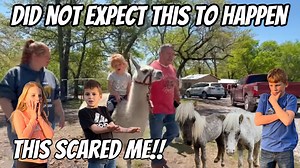 8.5K views · 1K reactions | The Kids Reaction To The New Farm Animals...