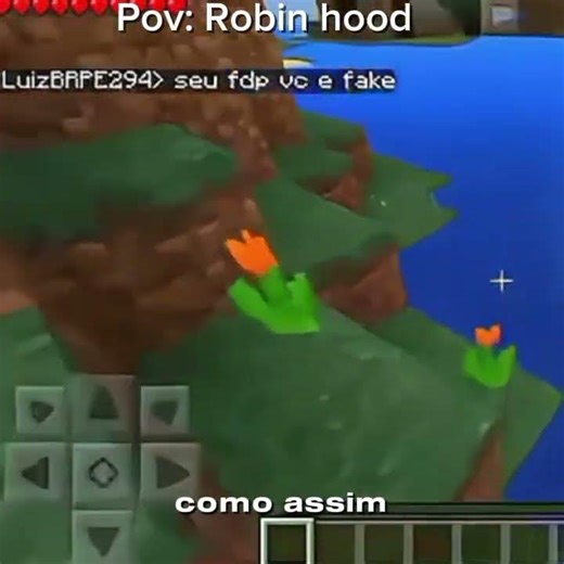 Pov: Robin hood part 2 #memes #minecraft
